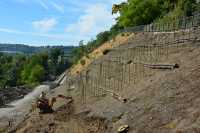 Praha 7 | Revitalizace skalního masivu v Zoo Praha – návrat vinné révy
